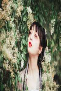 重生后，太子逼她再入东宫小说全章节试读