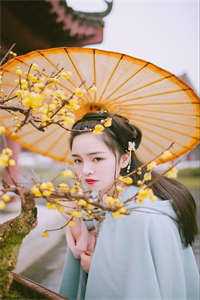 莫总，你疯狂追求的白月光她重生了全集阅读