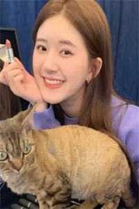 完整阅读八零：军嫂她又美又飒又吸金