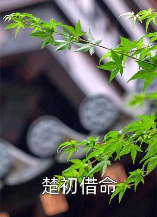 龙血战神文章全文