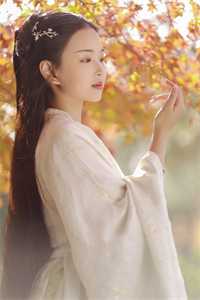 官运：从遇到美女书记开始全集小说阅读