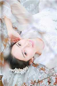 龙啸花都畅读全文版