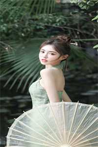 巅峰宏图之权力完整章节阅读