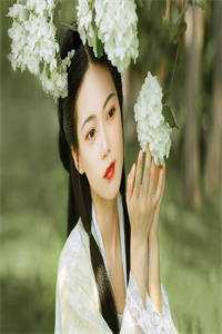 逍遥王侯李进何芊
