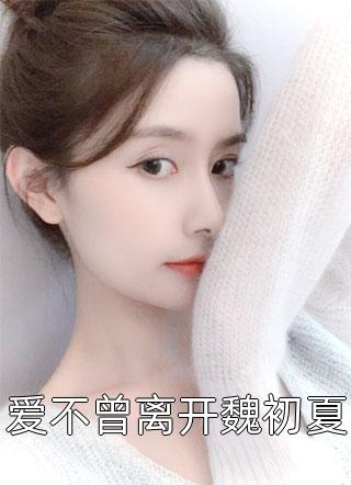 闪婚后，才知黏人老公来头不小小说