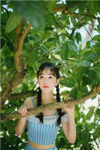 小说海棠花开，二爷求妾来