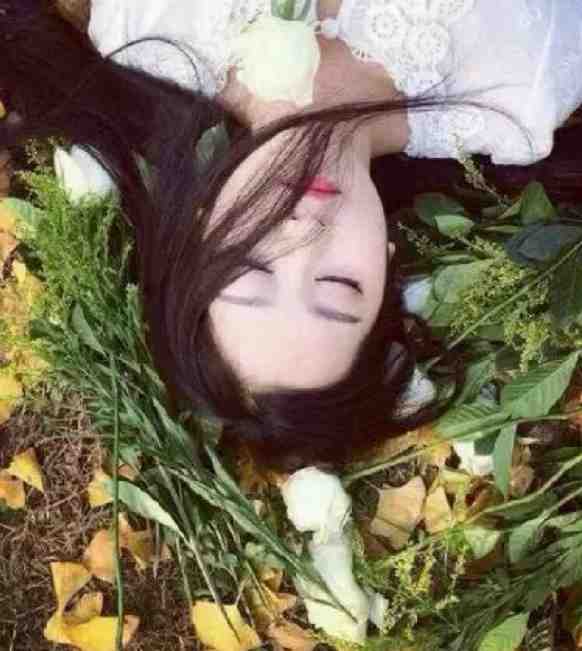 金牌律师全文章节