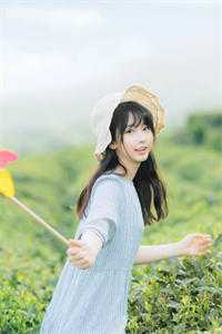 完整篇章隐婚半年，笨蛋美人野又撩