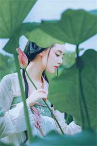 热门作品重生：药侯嫡女倾天下