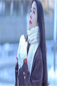每天看黄历，我就无敌完结版