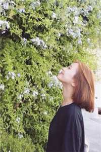 王爷别虐了，花魁她已有夫君了精品