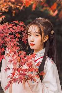 壮志凌云精选小说推荐