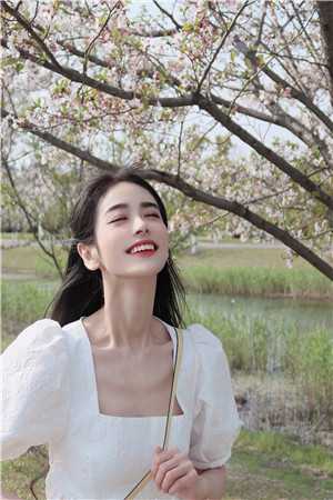 通房上位日记：无欲无求让他发疯苏清婉林冷殇试读完整篇