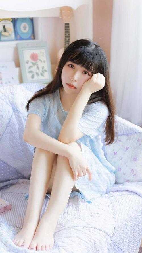 沈鹿兮谢淮鹤小说