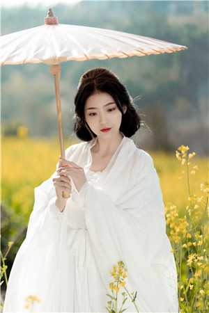 精品篇觉醒系统后，一夜坐拥80万精骑