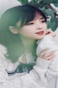 被告无证行医后，他成了兽医一把手精品选集
