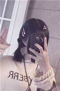 官途：权力巅峰精选小说推荐