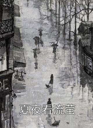 林锋粟宝是什么小说