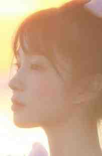 完整文本爱如夕阳