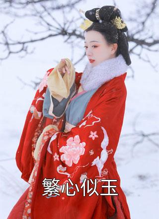 高质量小说宏图美人志