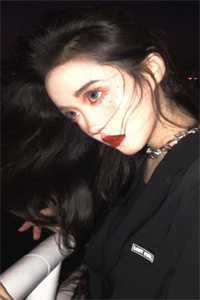 完整文集宏图美人志