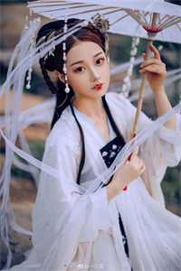 完整文集阅读农婿无双