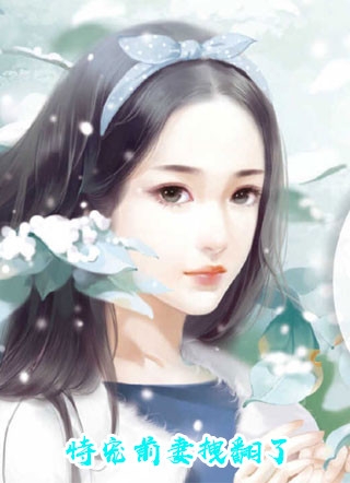季知南顾亦北是什么小说