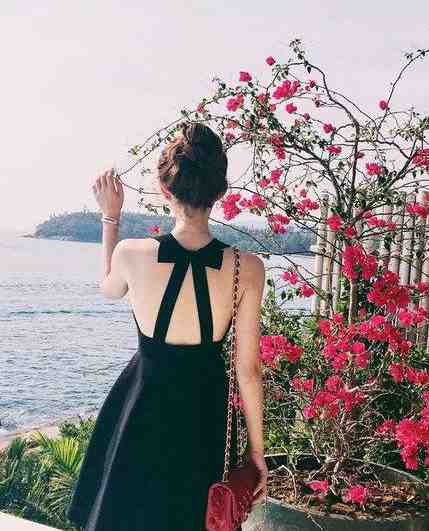 活成前任白月光后，她桃花朵朵开优秀文集