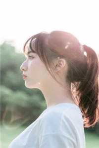 团宠八零小悍妻优秀文集