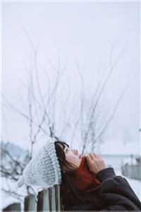全文我的绝美老婆