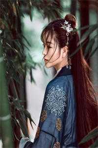 姜晏陈晚棠