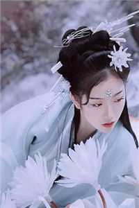 全章节巅峰龙王