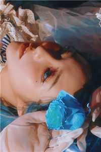 畅销书籍离婚高嫁：美丽娇妻哪里逃