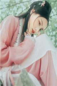 驻守大唐六十年，满城皆白发