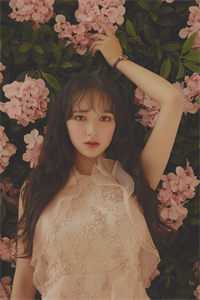 医妃有毒，禁欲太子别害怕畅销小说