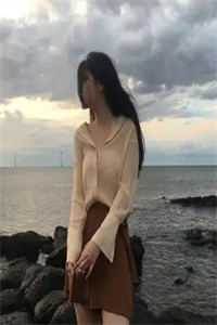 热门作品官婿美人香