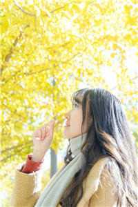 小说女主苏妍陆霆