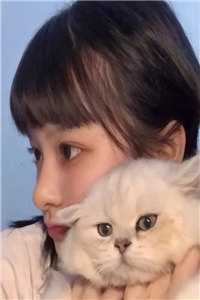 甜爆！厉少的顶流小作精又野又飒畅读精品小说