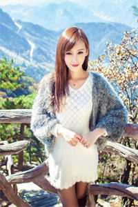 文章精选官婿美人香