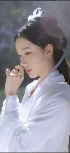 不加彩礼精选篇章阅读