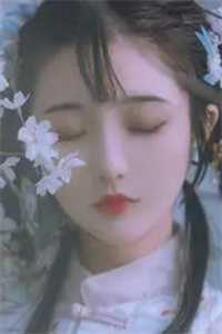 悍狼高质量小说