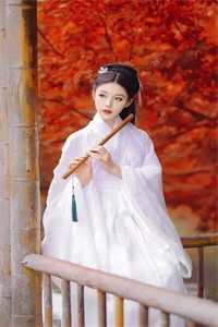 官场：从离婚后扶摇直上精品文