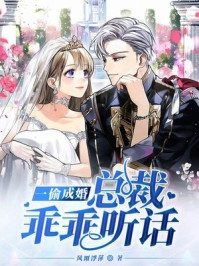 完整文集落魄后，上门女婿成了我的金主