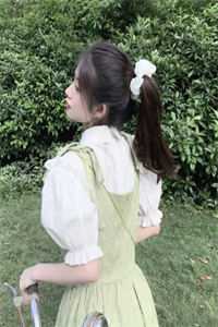 重生之鹏程万里连载
