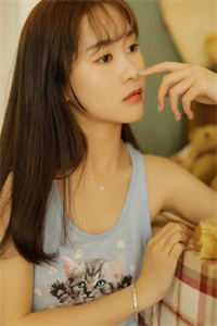 状元郎的杀猪妻全本