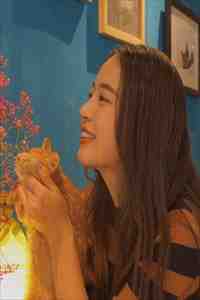 嫡女惊华：王妃暴躁不好惹前文+后续