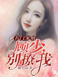 既无风雨也无晴全文小说舒南许清秋最新章节阅读