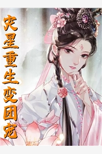 逆转换皮