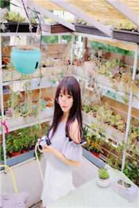 花终有期
