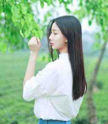 假离婚